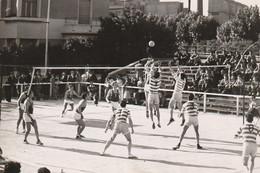 Photo  - 18/13cm  -  Match De Volley - Volleyball