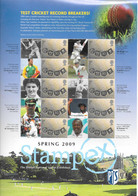 GB  STAMPEX Smilers Sheets   SPRING 2009 -    Test Cricket Record Breakers! - Timbres Personnalisés