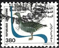 Tunisia 1986 - Mi 1139 - YT 1076 ( Greylag Goose ) - Gansos