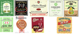 Carmel Mizrachi & Eliaz & Askalon Brandy Israel Wine Lot 9 Bottle Label Judaica - Collections, Lots & Séries