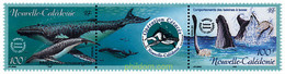 5405 MNH NUEVA CALEDONIA 2001 OPERACION CETACEOS - Used Stamps