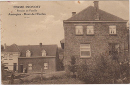 Mont-de-l'Enclus  Amougies  FERME PROVOST Pension De Famille - Kluisbergen