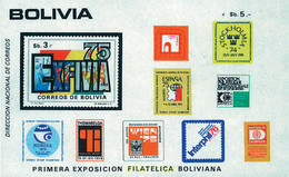 97215 MNH BOLIVIA 1975 EXFIVIA 75. EXPOSICION FILATELICA NACIONAL - Spiders