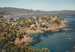 83 - CAVALAIRE SUR MER - Le Cap Cavalaire Et La Baie De Cavalaire - Cavalaire-sur-Mer