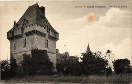 CPA Env. De SAUZE VAUSSAIS - Donjon De Jouhe (297409) - Sauze Vaussais