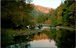 West Virginia Pipestern Horseback Riders Pipestern Rsort Park - Sonstige & Ohne Zuordnung
