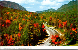 New Hampshire White Mountains Franconia Notch Looking North On Daniel Webster Highway - White Mountains