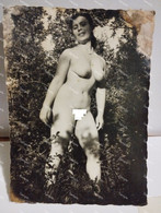 Old Photo Nude Naked Girl  113 X 78 Mm. Damaged. - Unclassified