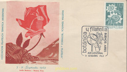 643467 MNH ARGENTINA 1960 TEMPEX 61.EXPOSICION FILATELICA TEMATICA - Used Stamps