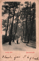 Bournemouth - Invalids Walk - Bournemouth (until 1972)