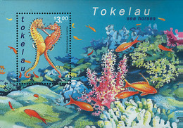 88343 MNH TOKELAU 2001 CABALLITOS DE MAR - Tokelau