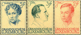 119390 HINGED LUXEMBURGO 1939 20 ANIVERSARIO DEL REINADO DE LA GRAN DUQUESA CHARLOTTE - Oblitérés