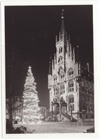 Gouda - Verlichte Kerstboom - Stadhuis Met Markt - Tractor/Trekker - (Zuid-Holland, Nederland) - Gouda