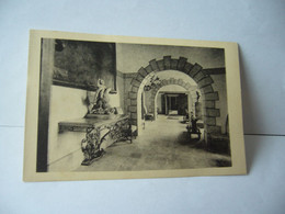 Delcampe - CHATEAU DE VIZILLE  38 ISERE GALERIE DES CANONS CPA - Vizille