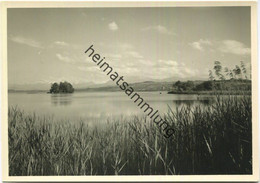 Sursee - Foto-AK Grossformat - Verlag Papeterie Von Matt 50er Jahre - Sursee