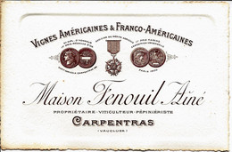 APRES LE PHYLLOXERA  VIGNES AMERICAINES ET FRANCO AMERICAINES Carte Commerciale Fenouil Ainé Carpentras Vaucluse B.E. - 1950 - ...