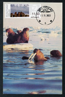 GREENLAND (2022) Carte Maximum Card ATM - Morse, Walrus, Walross, Odobenus Rosmarus, Walruses - Maximumkaarten