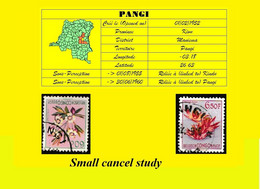 1952 (°) BELGIAN CONGO / CONGO BELGE =  COB 308 + 317 PANGI CANCELATION STUDY 2 STAMPS TROPICAL FLOWERS - Errors & Oddities