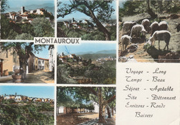 83 - MONTAUROUX - Multivues - Montauroux