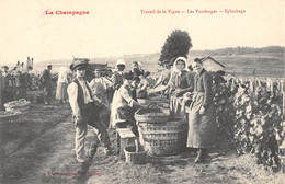 CPA 51 LA CHAMPAGNE TRAVAIL DE LA VIGNE LES VENDANGES EPLUCHAGE - Andere & Zonder Classificatie