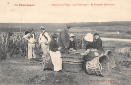 CPA 51 LA CHAMPAGNE TRAVAIL DE LA VIGNE LES VENDANGES LE PAREMENT DES PANIERS - Andere & Zonder Classificatie