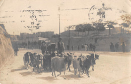 CPA MALTE CARTE PHOTO SITUEE A MALTE AVEC UN CHEVRIER - Malta