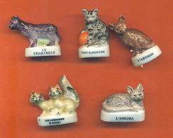 Lot De 5 Feves Porcelaine Chats Divers - Animali