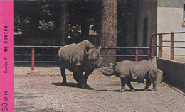 Rhonoceros Diceros Bicornis Zagreb Croatia Zoo Ticket Postcard - Rhinoceros