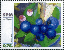 123649 MNH SAN PEDRO Y MIQUELON 2003 ARTE - Gebruikt