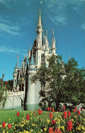 ORLANDO - CINDERELLA CASTLE FANTASYLAND DISNEY - Orlando