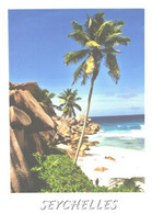 Seychelles:Beach, Grand Anse - Seychellen
