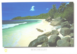 Seychelles:Beach View - Seychellen