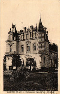 CPA ALLONNES-Chateau Des Rigaudieres (189579) - Allonnes