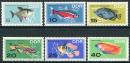 DDR / E. GERMANY 1966 Tropical Fish  MNH / **.  Michel  1221-26 - Ungebraucht