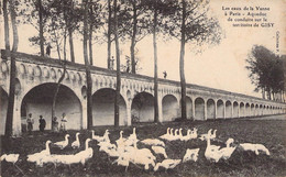 CPA FRANCE - 89 - Les Eaux De La Vanne - Aqueduc De Conduite Sur Le Territoire De Gisy - Oiseaux - Sonstige & Ohne Zuordnung