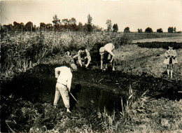 St Joachim * La Brière * Le Coupage Des Mottes * Agriculture Travail Aux Champs - Saint-Joachim