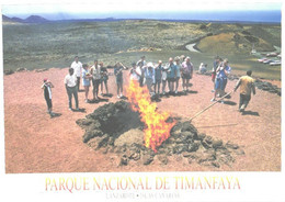 Spain:Canary Islands, Lanzarote, Timanfaya National Park - Lanzarote