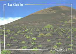 Spain:Canary Islands, Lanzarote, La Geria - Lanzarote