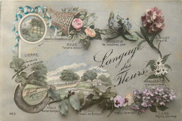 Fleur * Langage Des Fleurs * Flowers * Carte Photo - Andere & Zonder Classificatie