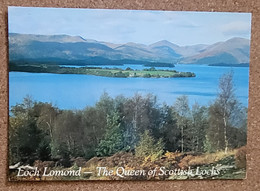 3 SCOTTISH CARDS - 2 UNUSED, MODERN,  CARDS OF LOCH  LOMOND AND REINDEER IN CAIRNGORMS AND A 1907 CARD OF FORTH BRIDGE - Stirlingshire