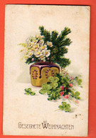ZSL-19  Joyeux Noël, Gesegnete Weihnacthten, Fleurs, Trèfles à Quatre Circ. 1920 - Altri & Non Classificati