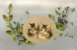 Chat * 2 Cpa Illustrateur * Deux Chats Chatons * Cat Katze - Gatti