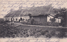 Messines Mesen    Culture Maraîchère Et Maison Descamps   Edit Denys-Demarey N° 19    FELDPOST - Messines - Mesen