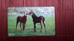 Horse Phonecard Usd - Horses