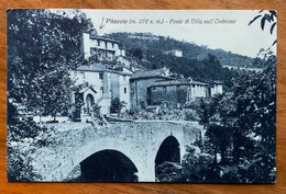 PITECCIO - PONTE DI VILLA SULL'OMBRONE - Annullo : MESSAGG.BOLOGNA - FIRENZE (3) 15/8/31 -   P.F.255 - 841 - Arezzo