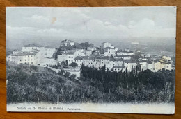 SALUTI DA S.MARIA A MONTE - PANORAMA - Annullo T.R. SANTA MARIA A MONTE *(FIRENZE)* 17/4/10 -   P.F.255 - 844 - Arezzo