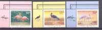 1998. Kazakhstan, Rare Birds, 3v With Corners A, Mint/** - Kasachstan