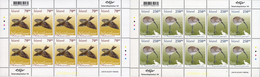 132348 MNH ISLANDIA 2003 AVES - Collections, Lots & Series