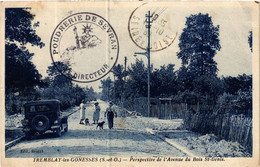 CPA TREMBLAY-les-GONESSE Perspective De L'Avenue Du Bois St-Denis (569334) - Tremblay En France