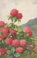 FANTAISIE - Fleurs De Treffles - Signé A .HALLER - Haller, A.